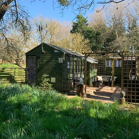 Hedgehog Lodge Colwall Екстер'єр фото