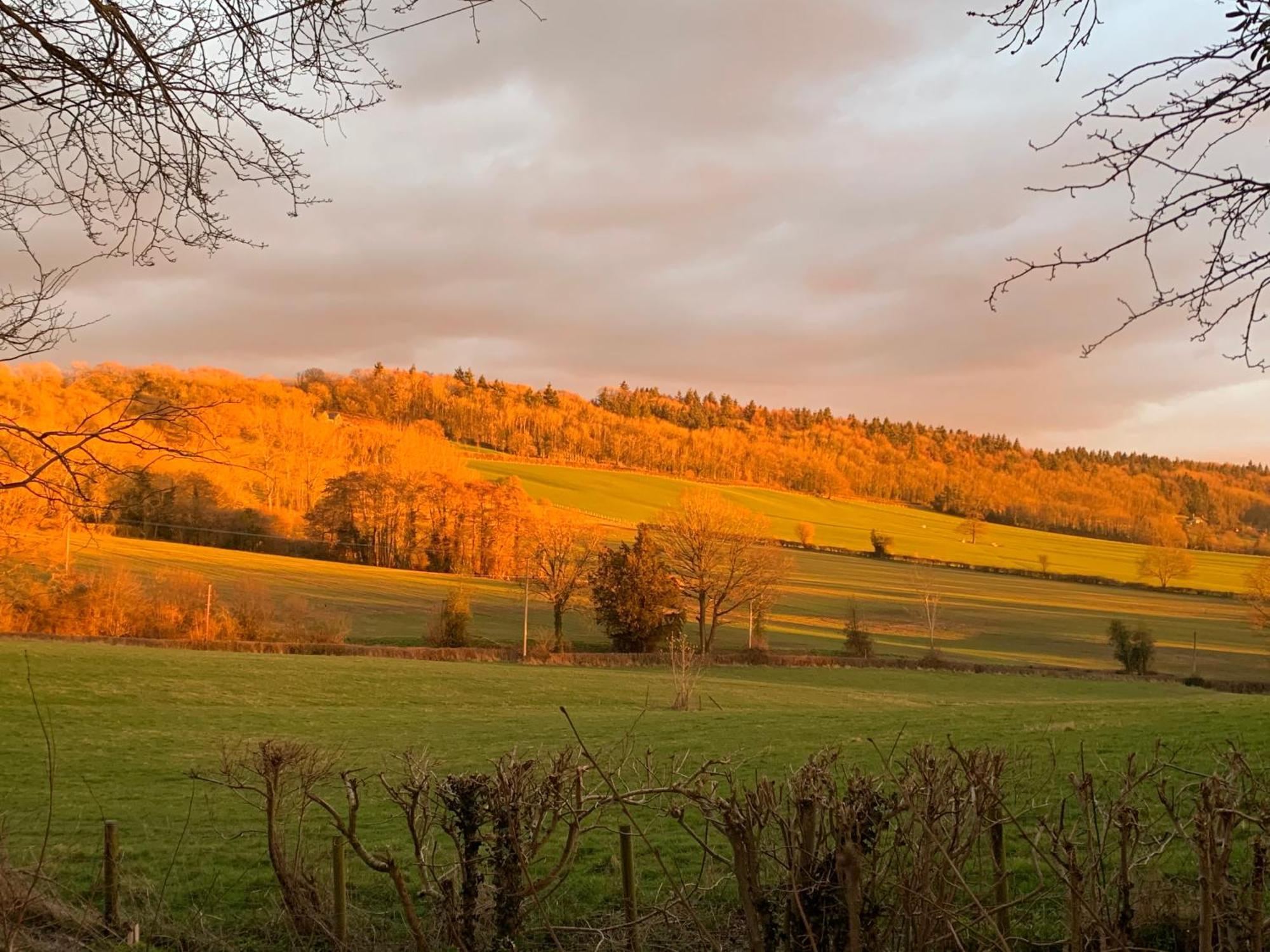 Hedgehog Lodge Colwall Екстер'єр фото